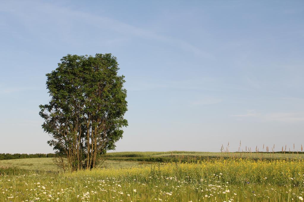 Agroturystyka Nowa Wolka Leczna Exterior foto
