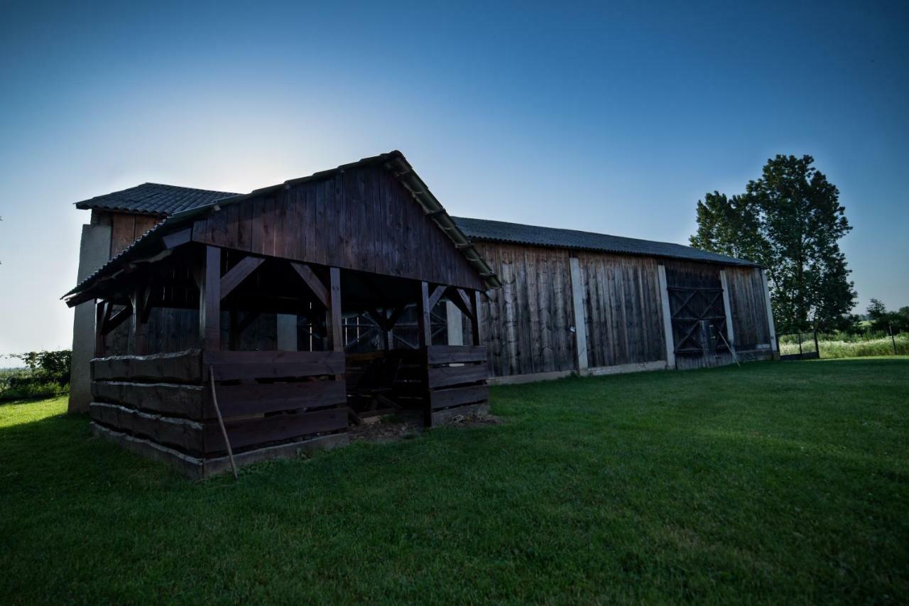 Agroturystyka Nowa Wolka Leczna Exterior foto